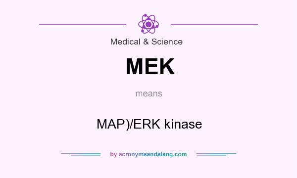 What does MEK mean? It stands for MAP)/ERK kinase