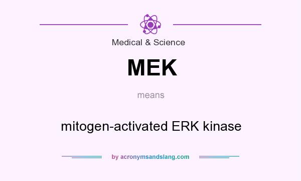 What does MEK mean? It stands for mitogen-activated ERK kinase