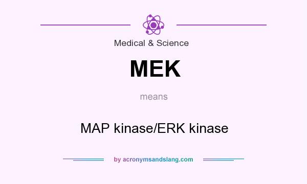 What does MEK mean? It stands for MAP kinase/ERK kinase