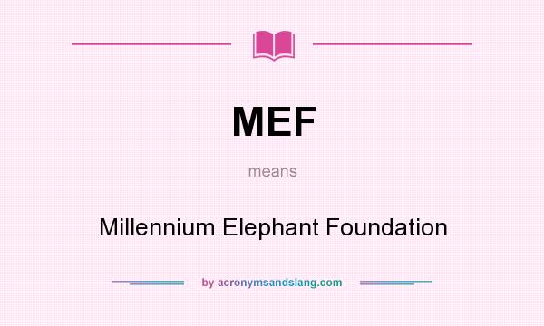 What does MEF mean? It stands for Millennium Elephant Foundation