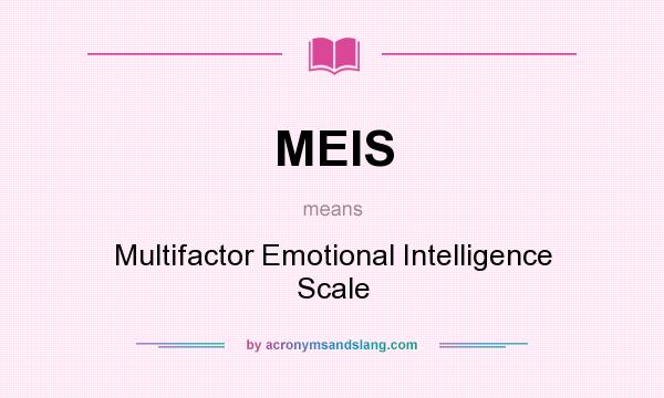 What does MEIS mean? It stands for Multifactor Emotional Intelligence Scale