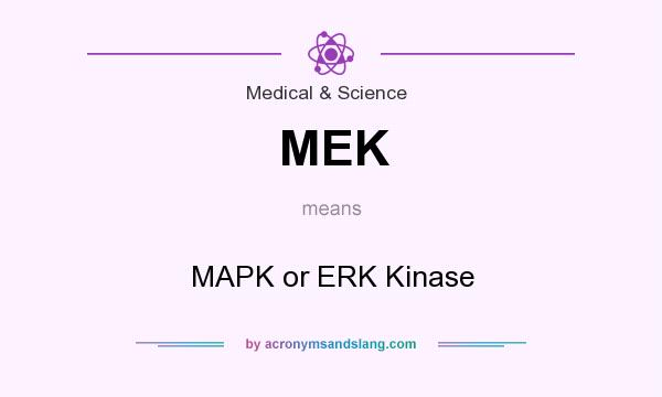 What does MEK mean? It stands for MAPK or ERK Kinase