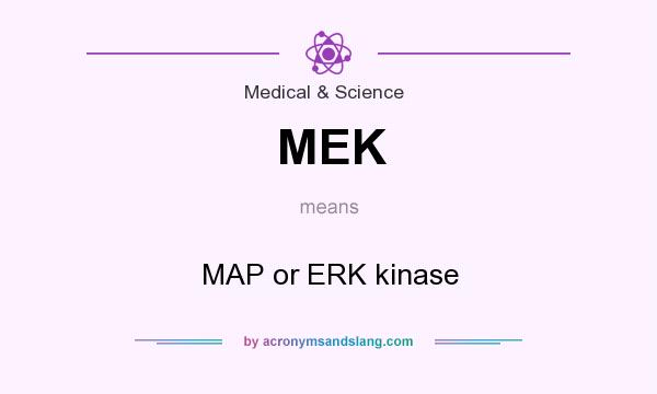 What does MEK mean? It stands for MAP or ERK kinase