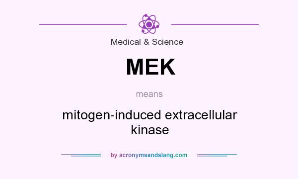 What does MEK mean? It stands for mitogen-induced extracellular kinase