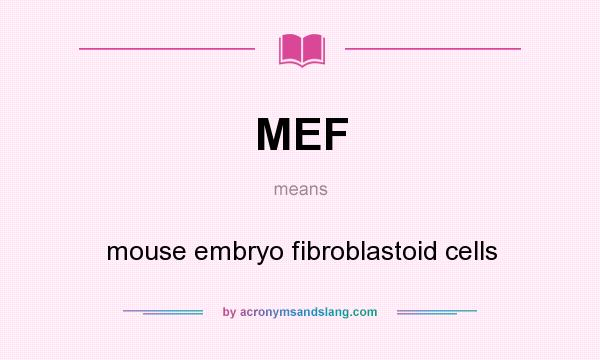 What does MEF mean? It stands for mouse embryo fibroblastoid cells