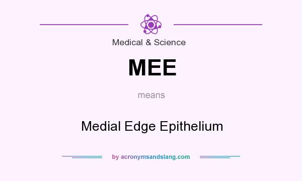 What does MEE mean? It stands for Medial Edge Epithelium
