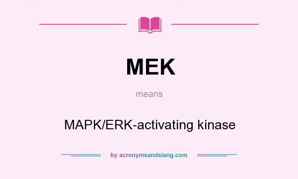 What does MEK mean? It stands for MAPK/ERK-activating kinase