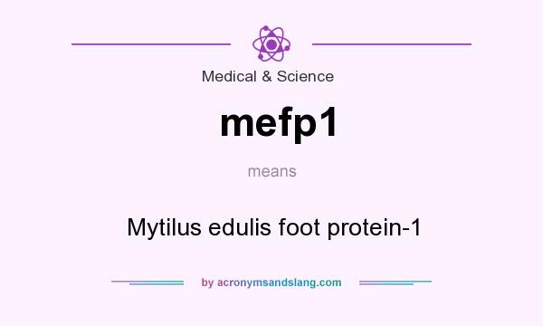 What does mefp1 mean? It stands for Mytilus edulis foot protein-1