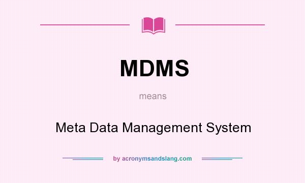 What does MDMS mean? It stands for Meta Data Management System