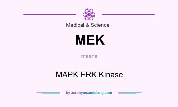 What does MEK mean? It stands for MAPK ERK Kinase