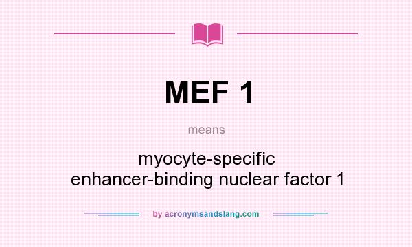 What does MEF 1 mean? It stands for myocyte-specific enhancer-binding nuclear factor 1