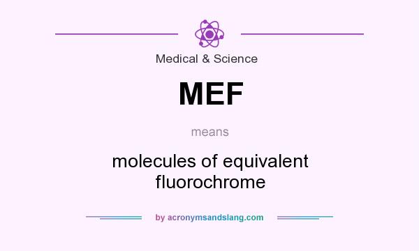 What does MEF mean? It stands for molecules of equivalent fluorochrome