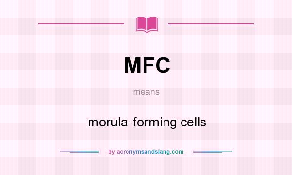 What does MFC mean? It stands for morula-forming cells