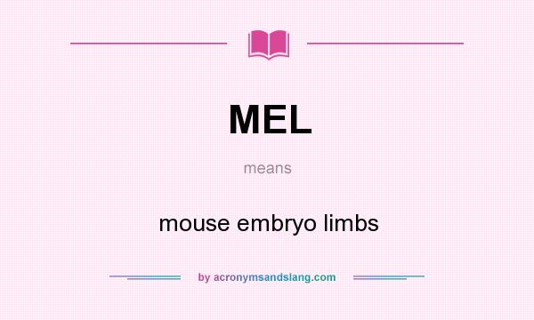 What does MEL mean? It stands for mouse embryo limbs