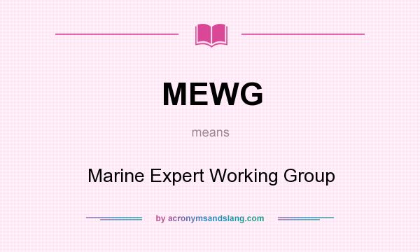 What does MEWG mean? It stands for Marine Expert Working Group