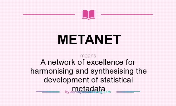 What does METANET mean? It stands for A network of excellence for harmonising and synthesising the development of statistical metadata