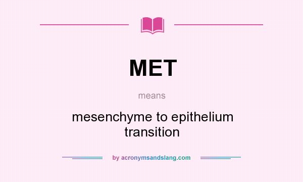 What does MET mean? It stands for mesenchyme to epithelium transition