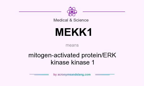 What does MEKK1 mean? It stands for mitogen-activated protein/ERK kinase kinase 1