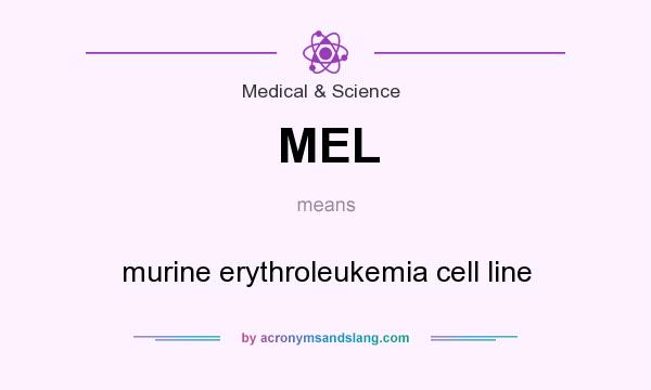 What does MEL mean? It stands for murine erythroleukemia cell line