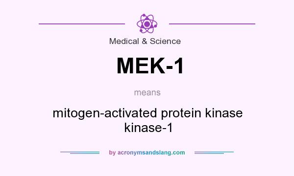 What does MEK-1 mean? It stands for mitogen-activated protein kinase kinase-1