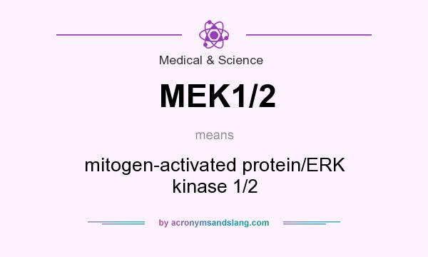 What does MEK1/2 mean? It stands for mitogen-activated protein/ERK kinase 1/2