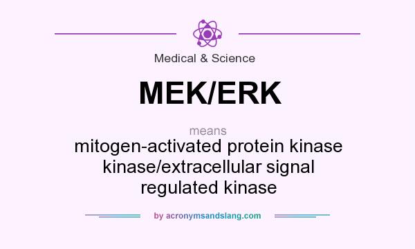 What does MEK/ERK mean? It stands for mitogen-activated protein kinase kinase/extracellular signal regulated kinase
