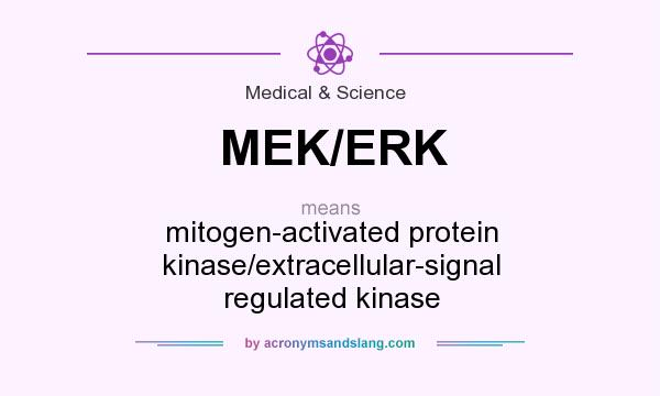 What does MEK/ERK mean? It stands for mitogen-activated protein kinase/extracellular-signal regulated kinase