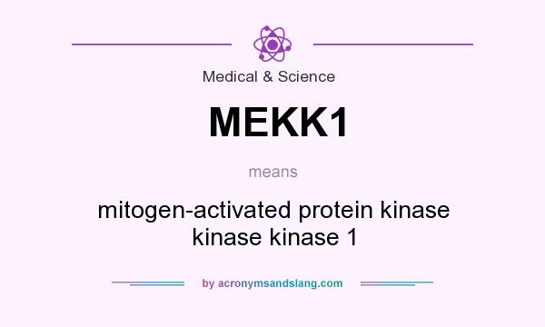 What does MEKK1 mean? It stands for mitogen-activated protein kinase kinase kinase 1