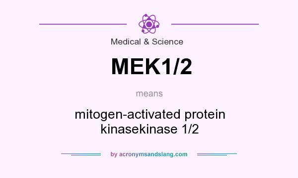 What does MEK1/2 mean? It stands for mitogen-activated protein kinasekinase 1/2