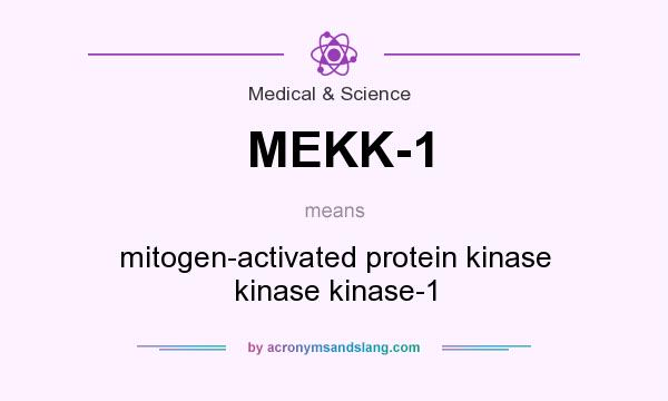 What does MEKK-1 mean? It stands for mitogen-activated protein kinase kinase kinase-1