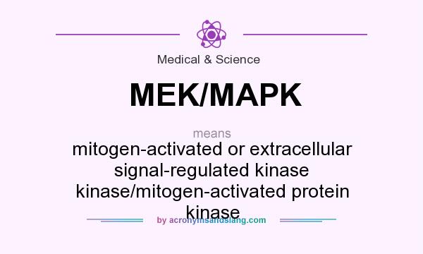What does MEK/MAPK mean? It stands for mitogen-activated or extracellular signal-regulated kinase kinase/mitogen-activated protein kinase