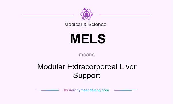 What does MELS mean? It stands for Modular Extracorporeal Liver Support