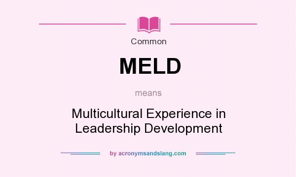 What does MELD mean? It stands for Multicultural Experience in Leadership Development