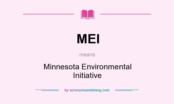What does MEI mean? It stands for Minnesota Environmental Initiative