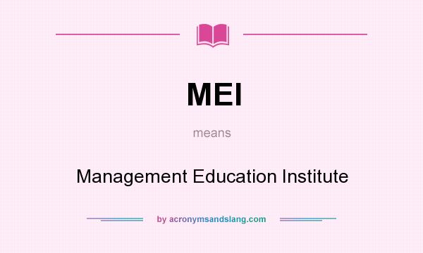 What does MEI mean? It stands for Management Education Institute