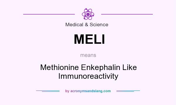 What does MELI mean? It stands for Methionine Enkephalin Like Immunoreactivity