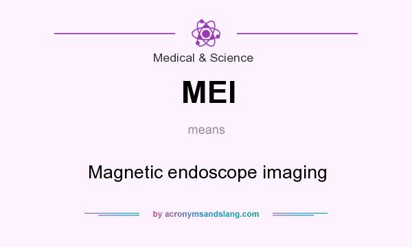 What does MEI mean? It stands for Magnetic endoscope imaging