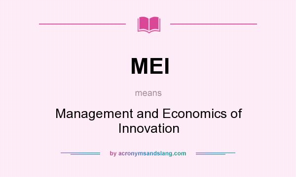 What does MEI mean? It stands for Management and Economics of Innovation