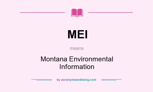 What does MEI mean? It stands for Montana Environmental Information