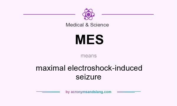 What does MES mean? It stands for maximal electroshock-induced seizure