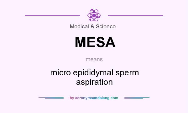 What does MESA mean? It stands for micro epididymal sperm aspiration