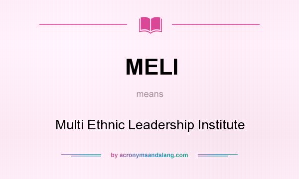 What does MELI mean? It stands for Multi Ethnic Leadership Institute