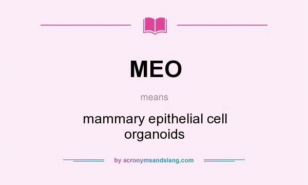 What does MEO mean? It stands for mammary epithelial cell organoids