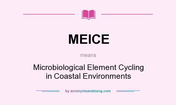 What does MEICE mean? It stands for Microbiological Element Cycling in Coastal Environments