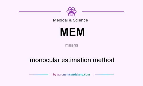 What does MEM mean? It stands for monocular estimation method