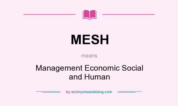What does MESH mean? It stands for Management Economic Social and Human