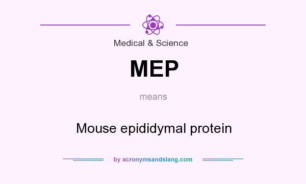 What does MEP mean? It stands for Mouse epididymal protein