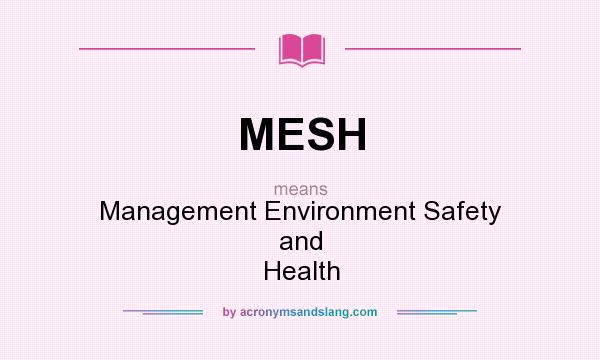 What does MESH mean? It stands for Management Environment Safety and Health