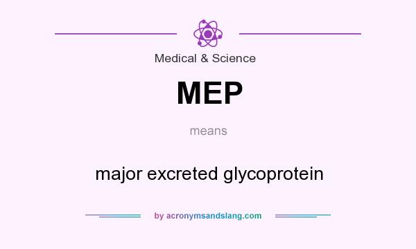 What does MEP mean? It stands for major excreted glycoprotein