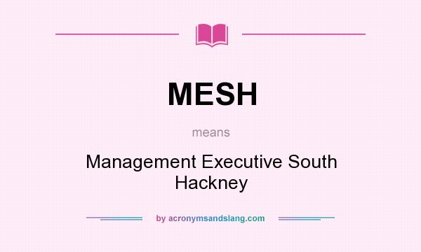 What does MESH mean? It stands for Management Executive South Hackney